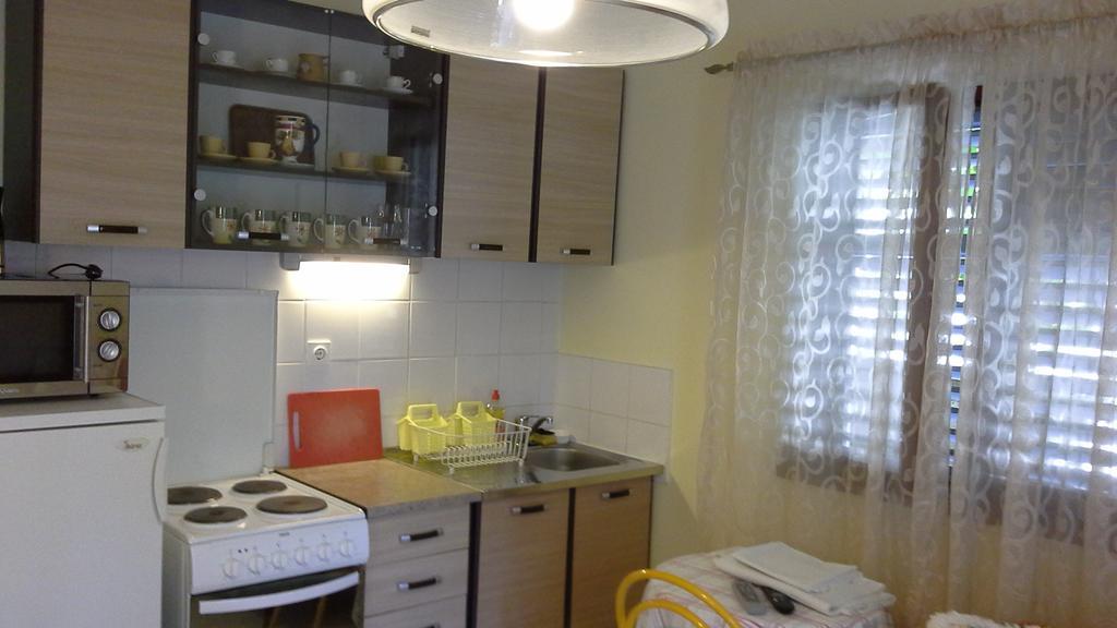 Apartments Anini Dvori 普罗马尼亚 外观 照片